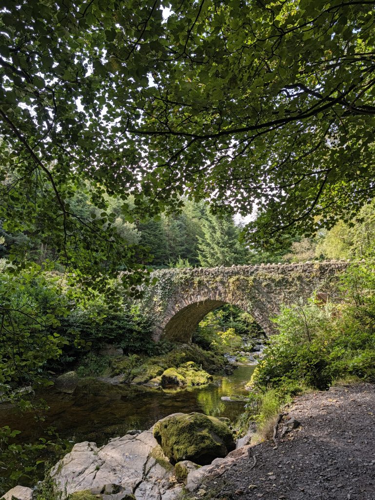 Early autumn in Tollymore Forest Park